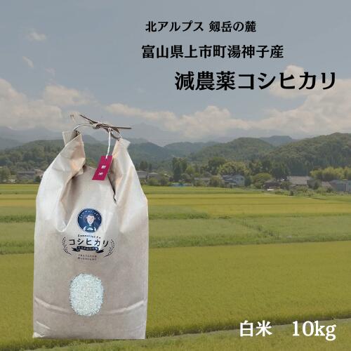 【ふるさと納税】【令和7年産】減農薬 上市町湯神子産コシヒカリ（白米）10kg　 [ソムリエH 富山県 上市町 32280234-r6-03] 　お米 コメ ご飯 ごはん こしひかり 富山県産