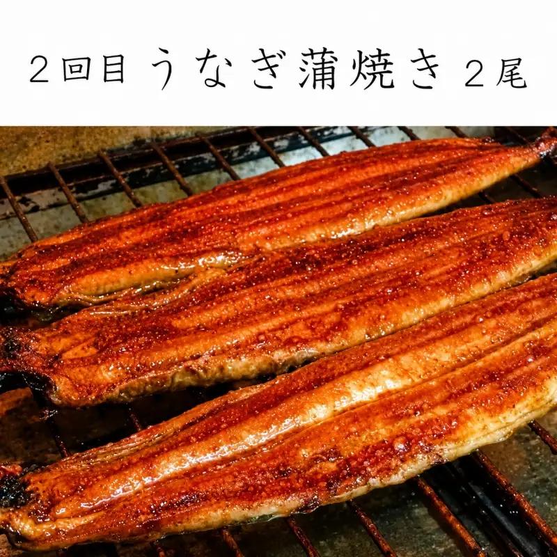 【3回定期便】おさかな定期便 サバ ウナギ サケ【tkb131】