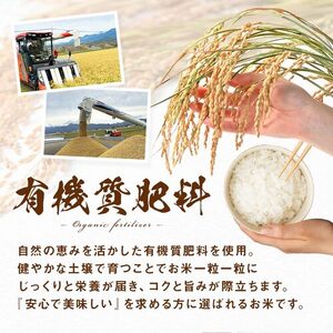 【令和7年度産】ななつぼし 玄米 10kg (5kg×2袋)【小玉農園】【CF-003】