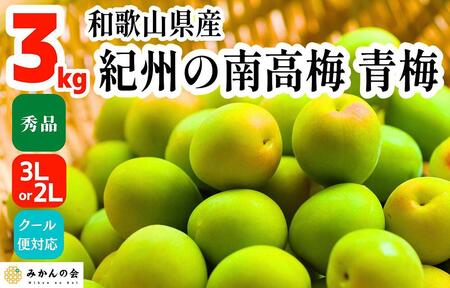 【2025年6月上旬出荷】青梅 南高梅 3kg 秀品 3Lまたは2Lサイズ 和歌山県産 A品 梅酒作り用 梅ジュース作り用