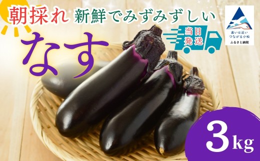 なす 3kg (30個以上) なす ナス 茄子 野菜 | 石川県 小松市 JAあぐり