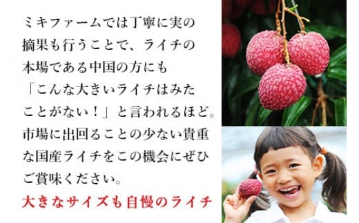 ＜宮崎県産ライチ600g＞