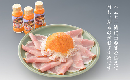 三田屋本店　ハム用ドレッシングセット SN-2 ギフト 肉 お祝い 加工品 ドレッシング ハム はむ