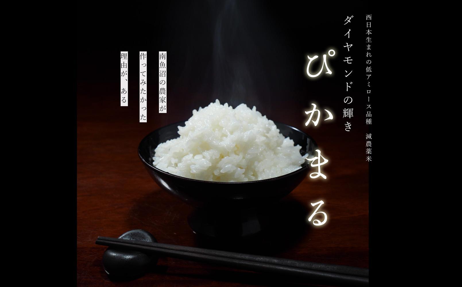【令和7年新米予約】精米5kg 南魚沼産ぴかまる国際総合部門金賞受賞※令和7年11月上旬から順次発送・農家直送_AG