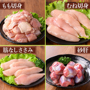 y539 鹿児島県産若鶏まるごとセット(合計3.05kg) 国産 鶏肉 鳥肉 肉 若鶏 お肉 もも肉 モモ肉 むね肉 ムネ肉 胸肉 ささみ ササミ 筋なし 砂肝 肝 手羽先 キチンリブ 手羽元 肩肉 