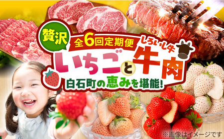 【R8年2月以降発送】【6回定期便】いちごと牛肉の贅沢定期便 / いちご 牛肉  [IZZ009]