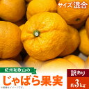 【ふるさと納税】国産 紀州 和歌山 じゃばら 果実 訳あり 家庭用 3kg