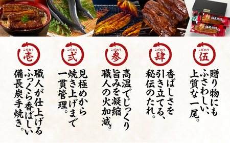 【 土用の丑の日特集 】 1774-3 うなぎ問屋 の 備長炭手焼 うなぎ蒲焼 4尾 （600g） KN029-001-04 魚 冷凍 鰻