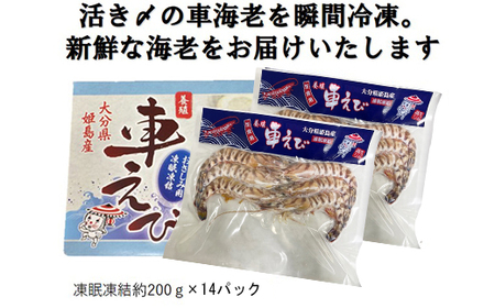 生食用凍眠凍結姫島車えび(養殖)約200ｇ(4尾～5尾)×14パック