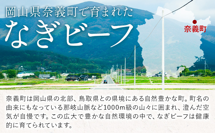奈義和牛 A5ランクロース バイヤーおすすめ！ すき焼き用 500g 株式会社 天満屋《30日以内に出荷予定(土日祝除く)》岡山県 矢掛町 和牛 牛肉 肉 A5ランク すき焼き 送料無料