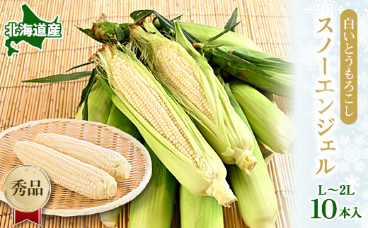 
                  白いとうもろこし「スノーエンジェル」北海道富良野産 L～2L 10本入_ とうもろこし コーン トウモロコシ 野菜 ホワイトコーン 朝採れ 人気 産地直送 甘い 送料無料 希少 限定 人気 おすすめ 北海道 富良野 【1405480】
                