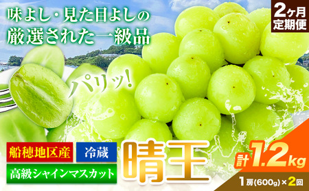 高級 シャインマスカット 2ヶ月 定期便【先行予約】ぶどう 晴王 1房600g×2ヶ月 計1.2kg 岡山県産《9月上旬-10月末頃出荷(土日祝除く)》 ハレノフルーツ マスカット 送料無料 岡山県 浅口市 フルーツ 果物 贈り物 ギフト 国産 岡山県産【配送不可地域あり】（北海道・沖縄・離島）