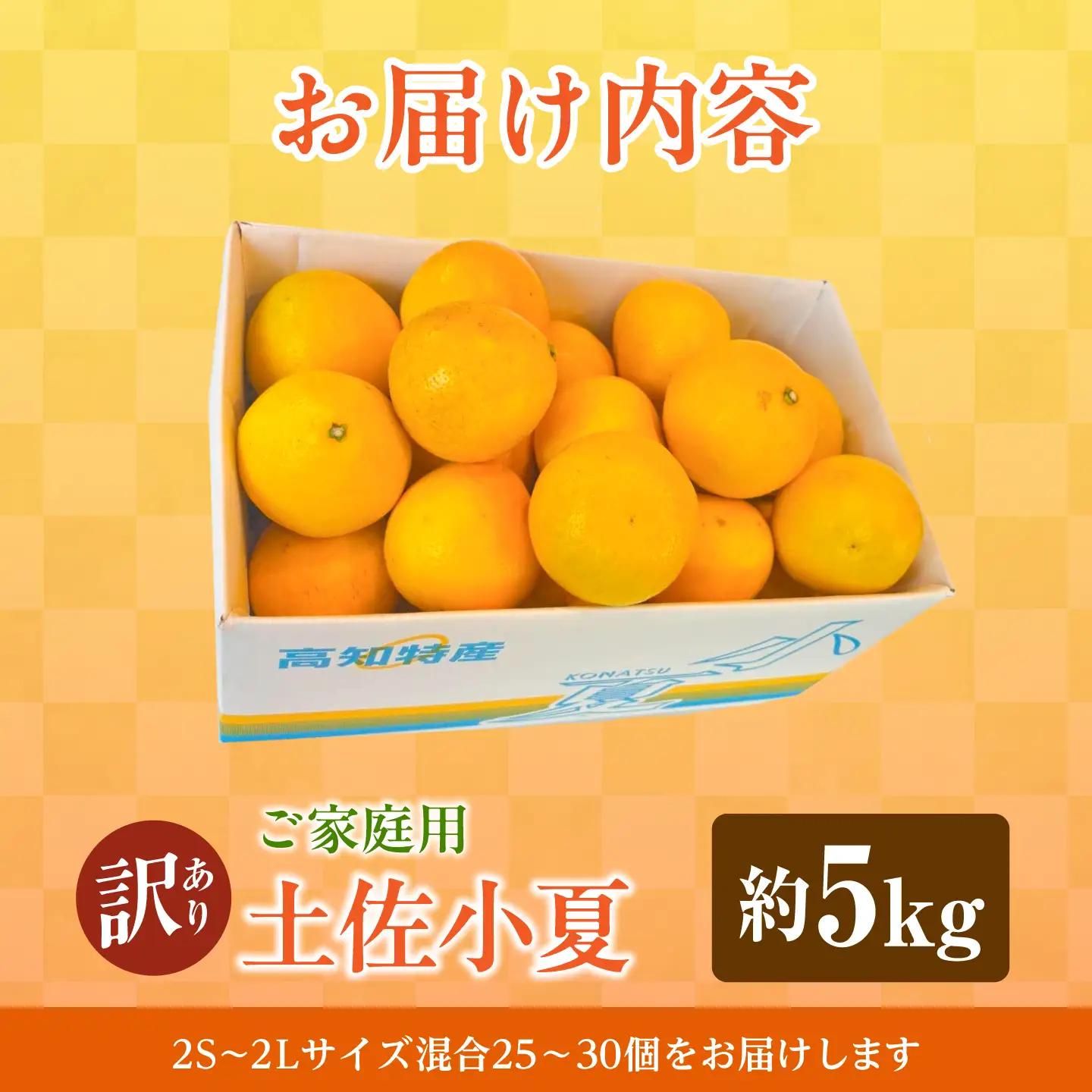 【先行予約】土佐小夏 ご家庭用 約5kg〈2027年5月下旬-2027年6月下旬頃発送〉 高知県土佐市 【株式会社SHIRAKI】 [BQAI034]