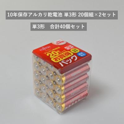 ふるさと納税 湖西市 10年保存アルカリ乾電池　単3形　20個組×2セット　合計40個