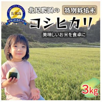 ふるさと納税 佐渡市 北見農園の特別栽培米 令和7年 佐渡産コシヒカリ 3kg 農家自慢の逸品 精米