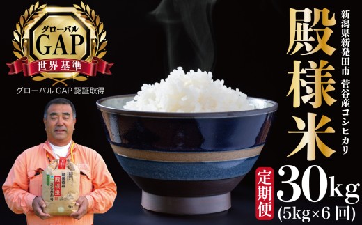 【定期便】令和7年産 新潟県産 越後菅谷殿様米 5㎏ 6ヵ月 30kg 玄米 新潟県 新潟産 新発田産 米 コシヒカリ 特別栽培米 越後菅谷米販売 5kg 6ヵ月 定期便 殿様 数量限定  D16_03