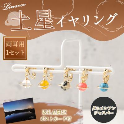 ふるさと納税 天城町 鹿児島県 天城町 土星イヤリング ダルメシアンジャスパー 両耳用 1個  パワーストーン