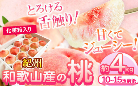 【2026年先行予約】桃 もも 紀州 和歌山産 の 桃 4kg 化粧箱入 魚鶴商店《2026年6月下旬-8月上旬頃出荷》｜桃桃桃桃