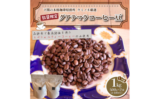 
訳あり コーヒー豆 1kg ( 500g × 2袋 ) 数量限定 選べる 煎り方 深煎り 中煎り 浅煎り グアテマラ 珈琲 自家焙煎 下関 山口
