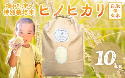 畑中さんがこだわり抜いて育てた 特別栽培米（減農薬米） ｢ひのひかり｣  白米 玄米 可 10㎏ 奈良県 三宅町 ヒノヒカリ：白米