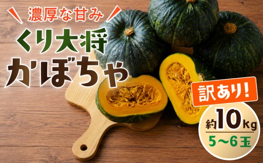 訳あり かぼちゃ くり大将 《訳あり/正規品・容量が選べる！》訳あり 茨城県産 くり大将 約3kg (1玉〜3玉) / 約5kg (2玉〜3玉) / 約10kg (5玉〜6玉) 【茨城県 下妻市産 かぼちゃ カボチャ 南瓜 くり大将 くりたいしょう 採れたて 旬野菜 季節の野菜 甘い おすすめ】