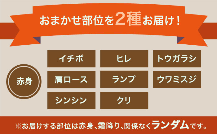 ＜12回定期便＞1ヶ月に1度の佐賀牛ひとり贅沢コース ステーキ/焼肉/スライス【ミートフーズ華松】 [FAY067]