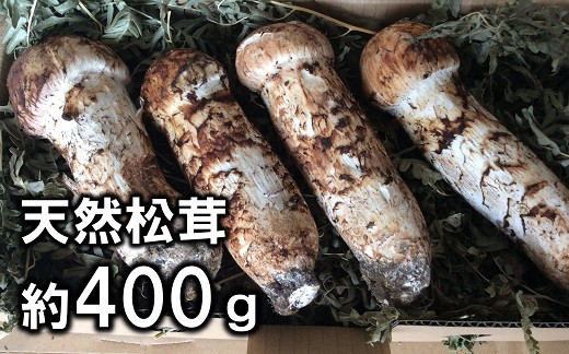 
                  【期間限定】 岩手県産 松茸 天然 約400g 国産 【数量限定】 【厳選】
                