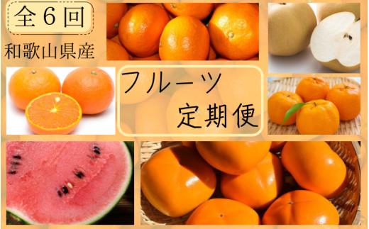 【全6回定期便】偶数月にお届け♪【産直】和歌山産フルーツ定期便！ポンカン・カラマンダリン・小玉すいか・梨・たねなし柿・有田みかん【tkb359】