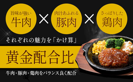 ハンバーグ 鉄板焼き 肉肉ハンバーグ  デミグラスソース 20個 《30日以内に出荷予定(土日祝除く)熊本県 国産 牛肉 豚肉 鶏肉 ハンバーグ 専門店監修 小分け デミ肉