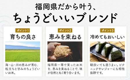 【12ヶ月定期便】 ふくおかみのり米 10kg 白米  