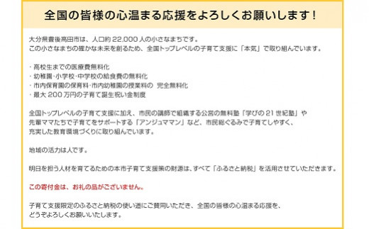 【子育て支援限定使い道】賛同型寄付 1,500円 （大分県豊後高田市） ふるさと納税で子育て支援！