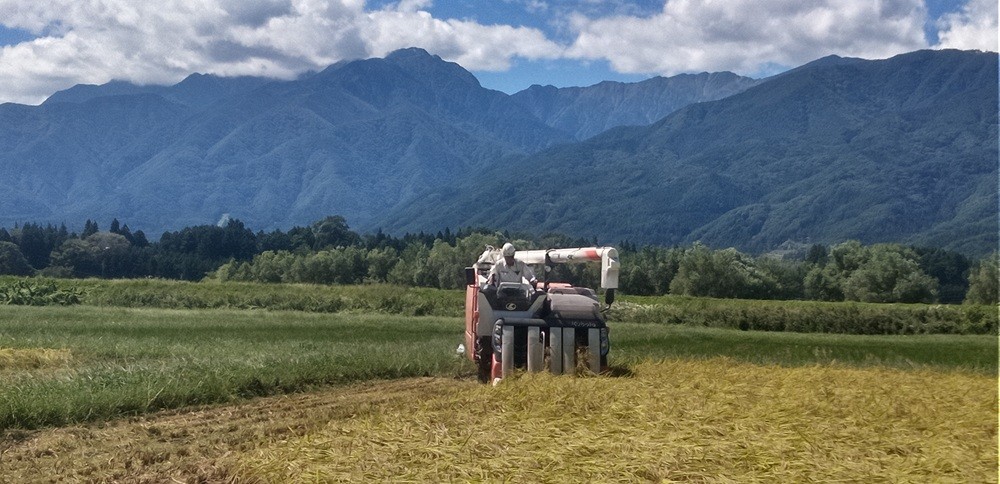 【3ヶ月連続お届け】伊那市田原産米　コシヒカリ　5キロ【039-05】