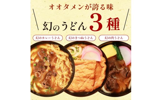 幻のきつねうどん きつねうどん うどん 2食 オオタメン 太田製麺所 製麺所 個包装 簡単調理 冷凍 めん 麺 2人前 できたて こだわり 大阪府 松原市