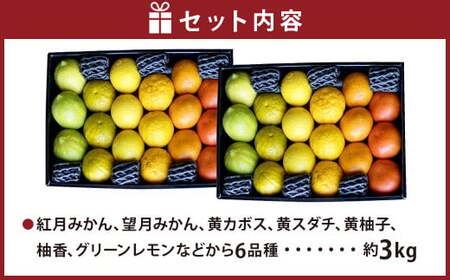 【2026年12月上旬発送開始】にしだ果樹園の熊本県産月読み果実グラデーションボックス(6品種)