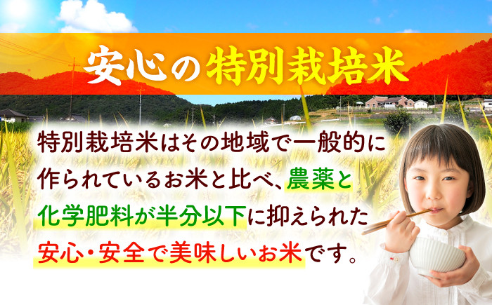 無洗米を真空パックに！農薬・化学肥料5割以下！広島県認証の特別栽培米コシヒカリ