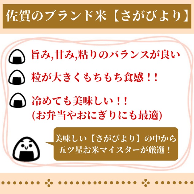 CI669　【玄米】さがびより１０kg（５kg×２袋）【３回定期便