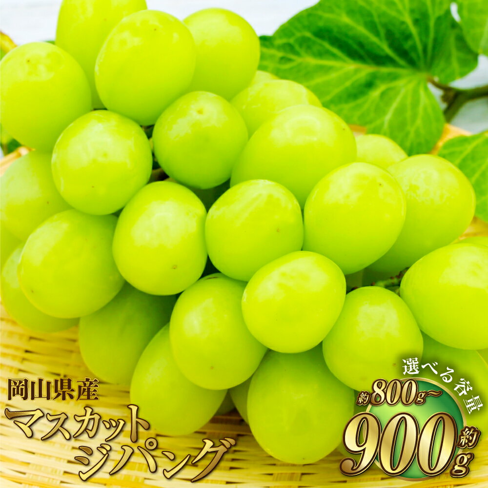 【ふるさと納税】【選べる容量】岡山県産 マスカットジパング 約800g または 約900g マスカット ぶどう ブドウ 葡萄 種無し 種なし 果物 くだもの フルーツ お取り寄せ 冷蔵 おかやま 岡山県 奈義町 送料無料【2026年7月下旬～8月下旬発送予定】