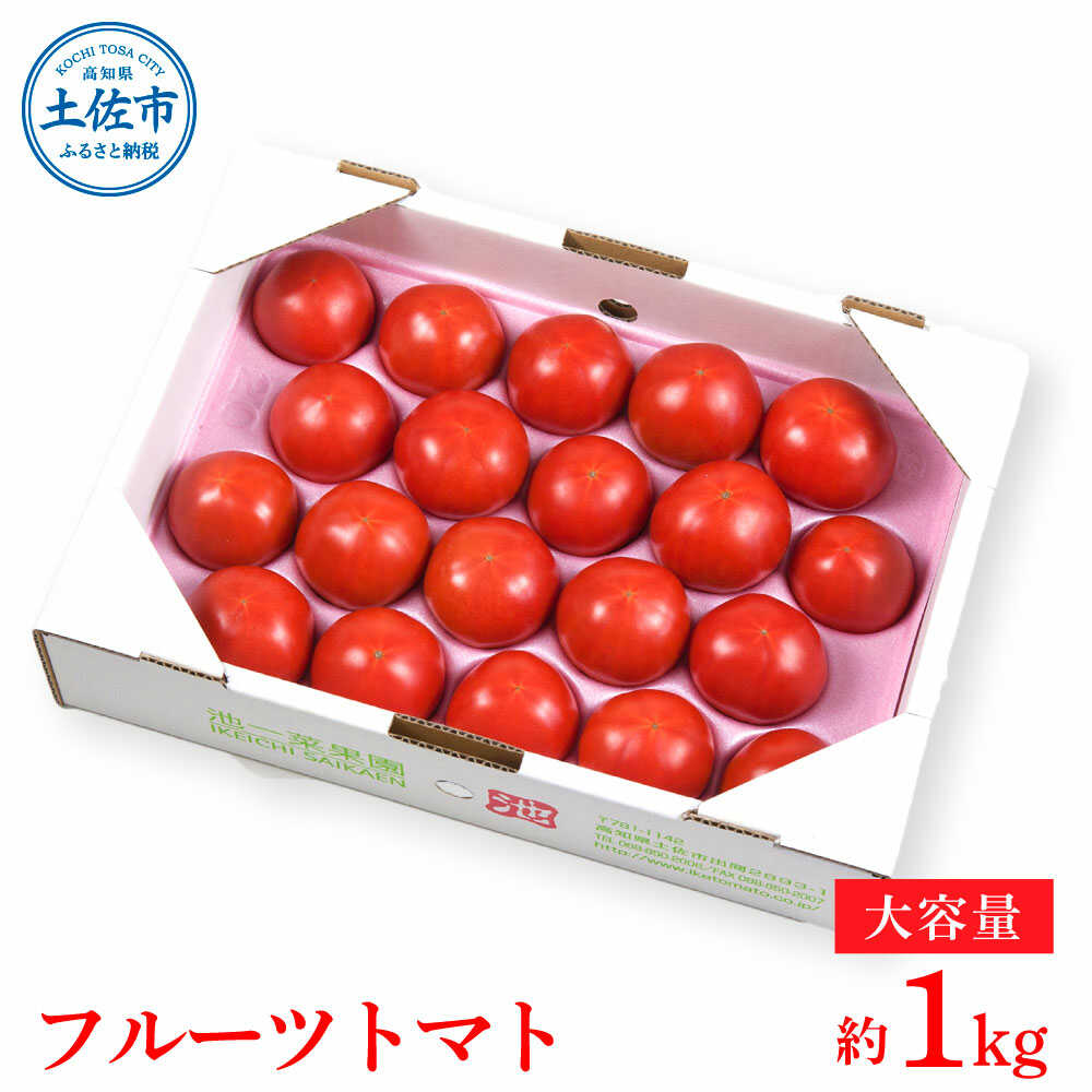 【ふるさと納税】【先行予約】濃厚フルーツトマト 1kg 〈2027年1月〜発送〉 / Aランク 糖度8度以上 期間限定 フルーツトマト ふるーつとまと とまと トマト 甘い 濃厚 美味しい 箱入り 贈答 野菜 料理 高知県土佐市【池トマト】[BQAG009]