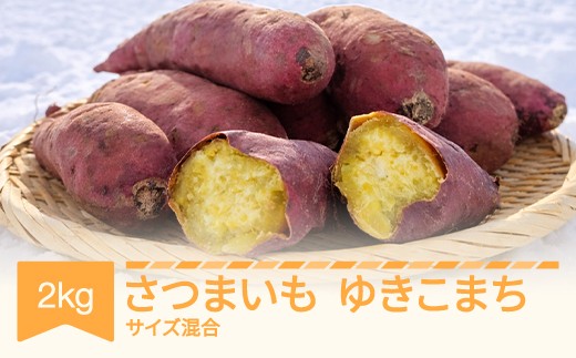 【先行予約】さつまいも ゆきこまち 約2kg 村山市産 2026年産 令和8年産 山形県産 芋 no-spykx2