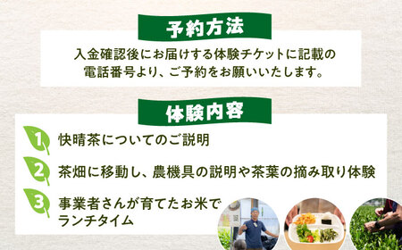 【ランチ付き】「快晴茶」お茶摘み体験チケット[BDAT006]