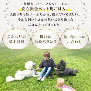 無添加 ペット フード ワンコ と ニャンコ の ご飯 2種類 4袋 (イワシ煮 豆乳鍋) 犬 猫ドッグフード キャットフード 安心 安全 ペットフード ペット用品 ヒューマングレード リッチフード 