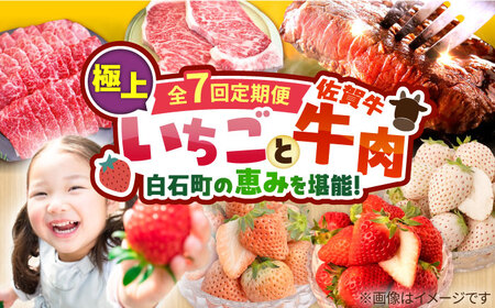 【先行予約】【7回定期便】産地直送！白石町産 いちごと牛肉の極上定期便 [IZZ014]