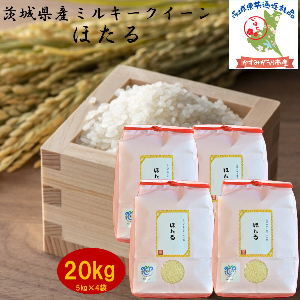 【ふるさと納税】 令和7年度産 ミルキークイーン ほたる 20kg 農家直送 出荷日精米 茨城県産 5kg×4袋 茨城県共通返礼品 かすみがうら市産 米 お米 白米 こめ 精米 取り寄せ 特産 ごはん ご飯 コメ お取り寄せ ギフト 贈り物 弁当 おにぎり ふっくら 甘い 産地直送 国産