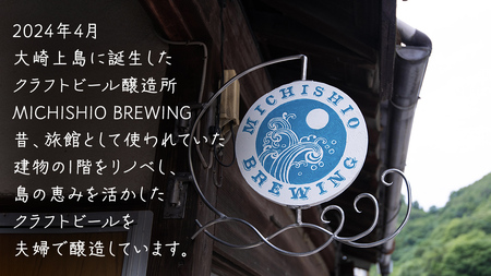 クラフトビール みかんペールエール 330ml × 3本セット
