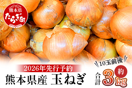 【先行予約】熊本県産 玉ねぎ 3kg (10玉前後) ≪2025年4月下旬から順次発送≫ 玉葱 野菜 数量限定 JAS たまねぎ オニオン 甘い ハンバーグ 肉じゃが 065-0635