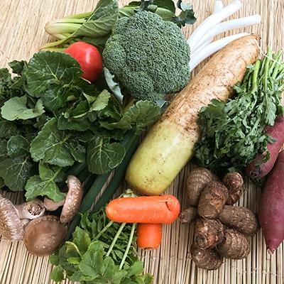 ふるさと納税 潮来市 『身体が喜ぶ野菜』詰め合わせ(おまかせ10〜12品) |  | 02