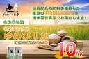 【ふるさと納税】【 令和6年産 】 ゆめぴりか （ 無洗米 ） 特Aランク 北海道 米 を代表する人気の品種 真空パック 5kg×2袋 10kg 北海道 鷹栖町 たかすのお米 米 コメ こめ ご飯 無洗米 お米 ゆめぴりか コメ 白米
