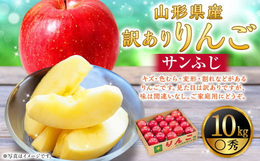 【訳あり】りんご（サンふじ・〇秀） 10kg 山形県産 フルーツ 果物 林檎 リンゴ りんご サンふじ 家庭用 規格外 【2025年11月下旬-12月上旬発送予定】
