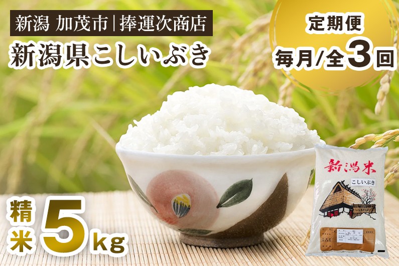 
            【令和7年産】【定期便3ヶ月毎月お届け】新潟県産こしいぶき 精米 5kg 《順次出荷》 コシイブキ 新潟米 お米 白米 ライス ご飯 加茂市 捧運次商店
          