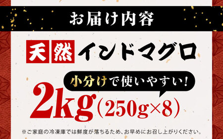 天然 まぐろ ねぎとろ 約2kg（約250g×8パック） 鮪 マグロ 魚 ネギトロ 横須賀【横須賀商工会議所 おもてなしギフト事務局（本まぐろ直売所 横須賀本店）】 [AKAK009]